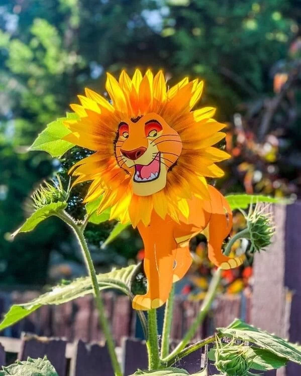 نقاشی خیابانی