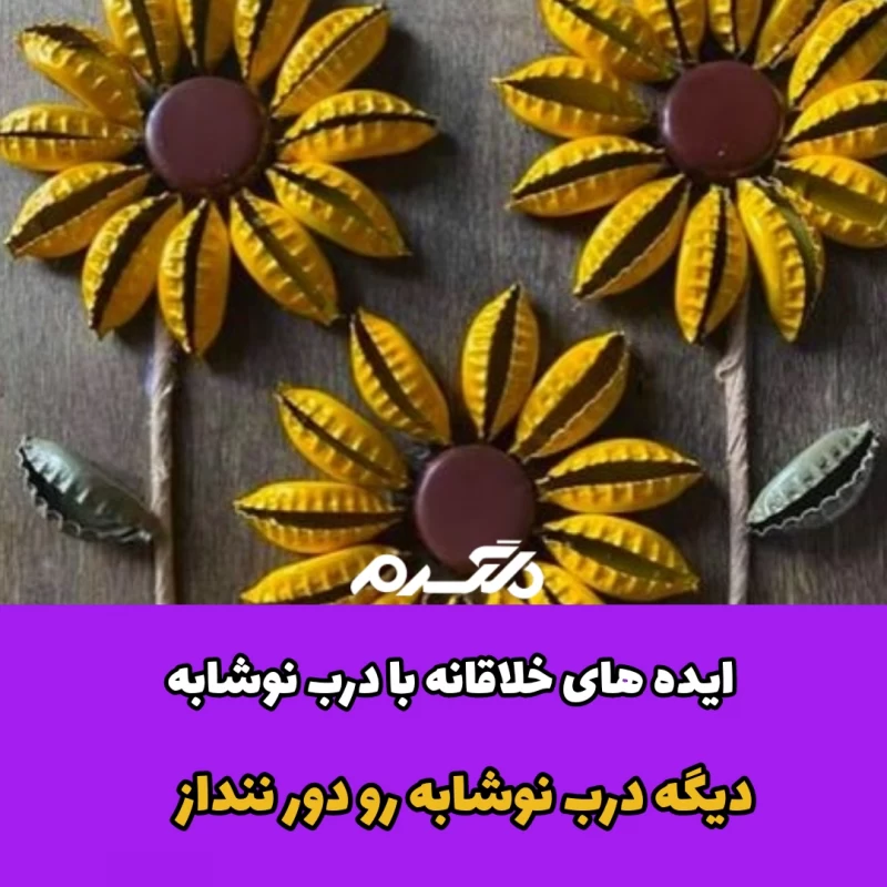 کاردستی با درب بطری