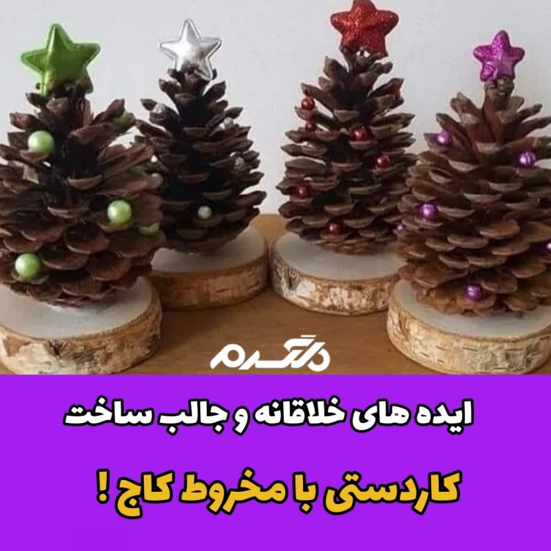 مخروط کاج