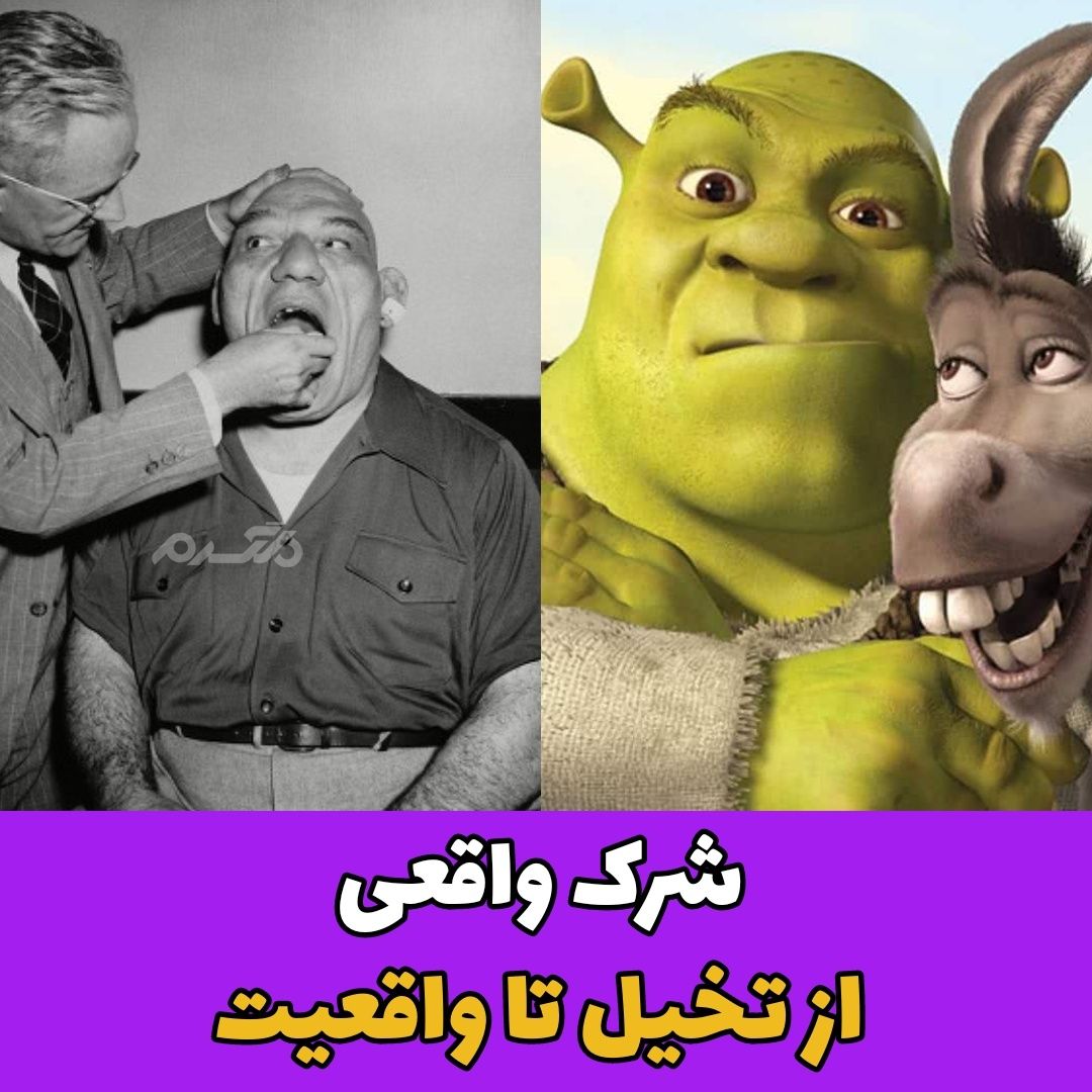 شرک واقعی کیه؟ / تصویر
