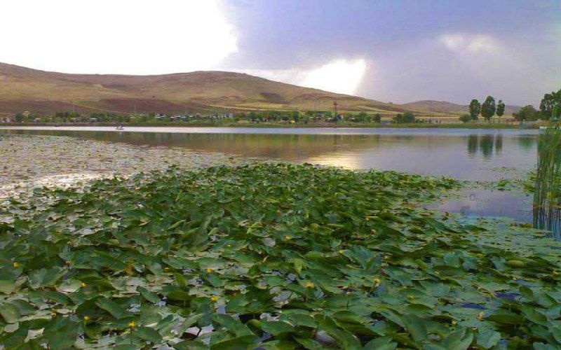 سراب نیلوفر/کرمانشاه