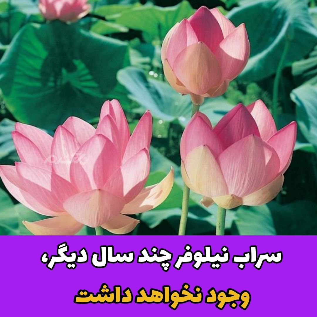 سراب نیلوفر/کرمانشاه