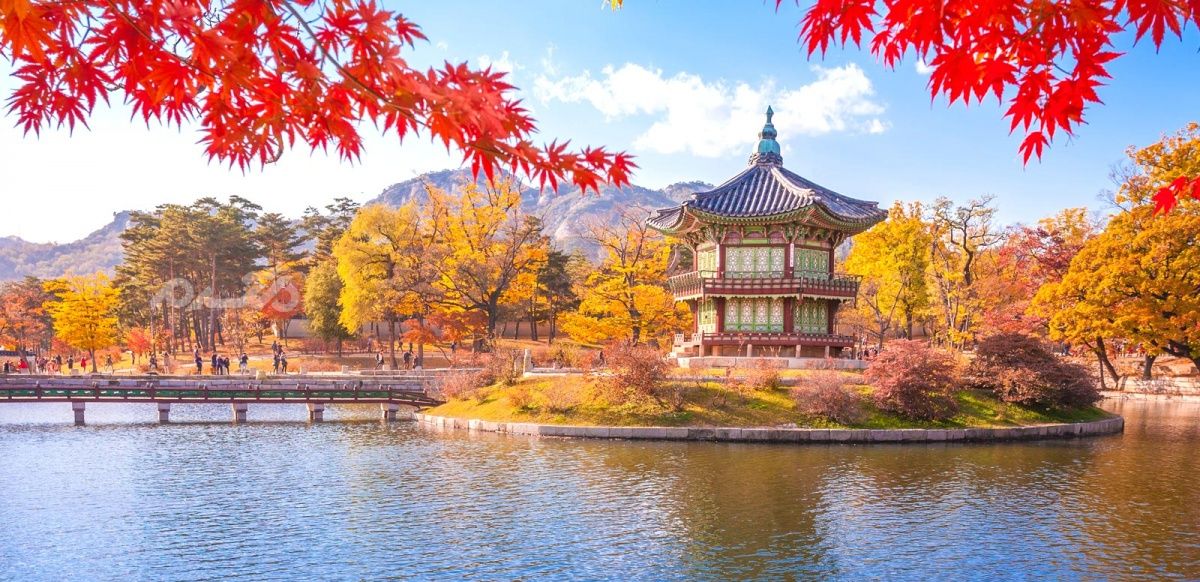 پاییز در سئول کره جنوبی