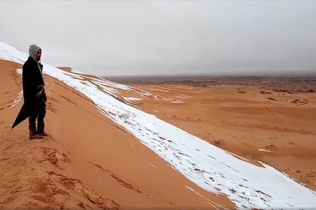 برف /بیابان عربستان