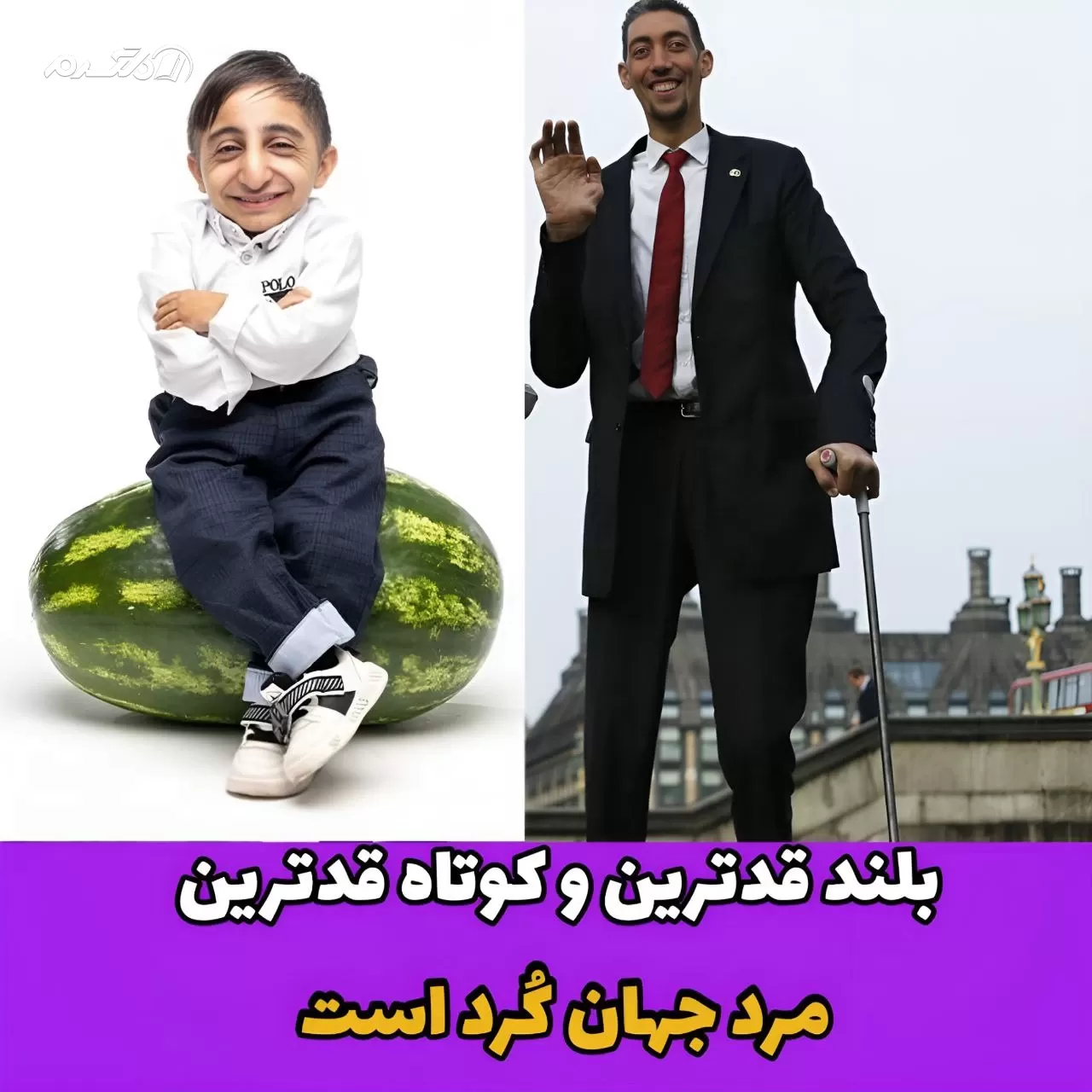 بلند قدترین و کوتاه قدترین/رکورد گینس
