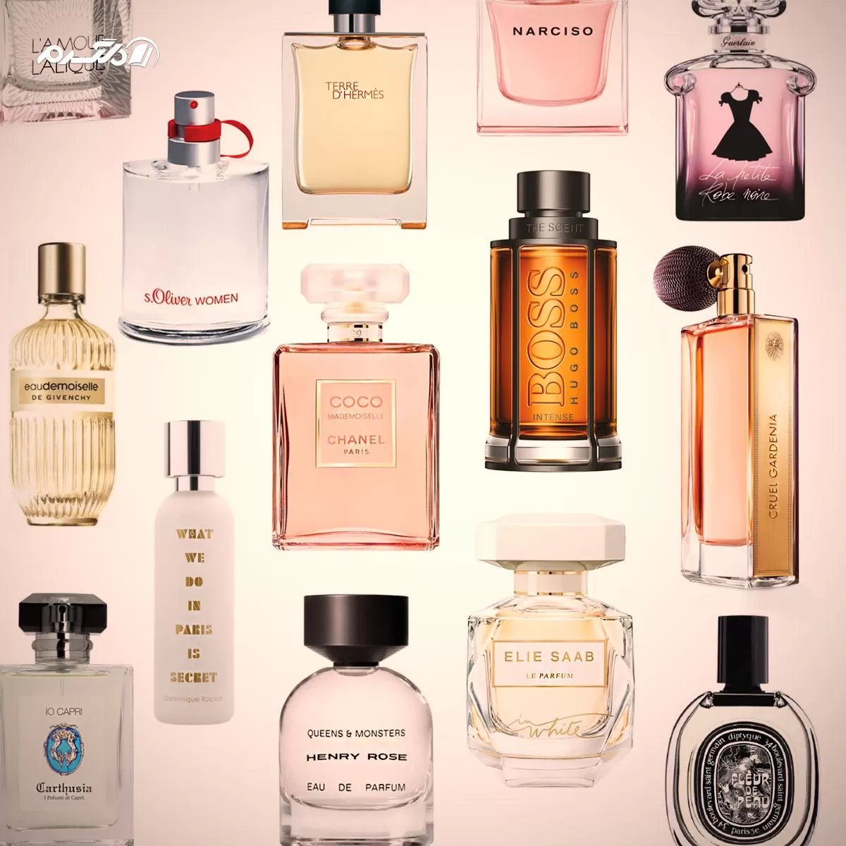 عطر /لاغری 