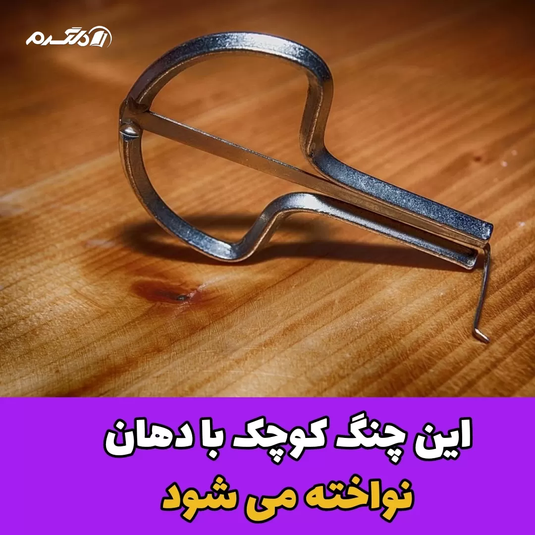ساز دهنی /نوازندگی 