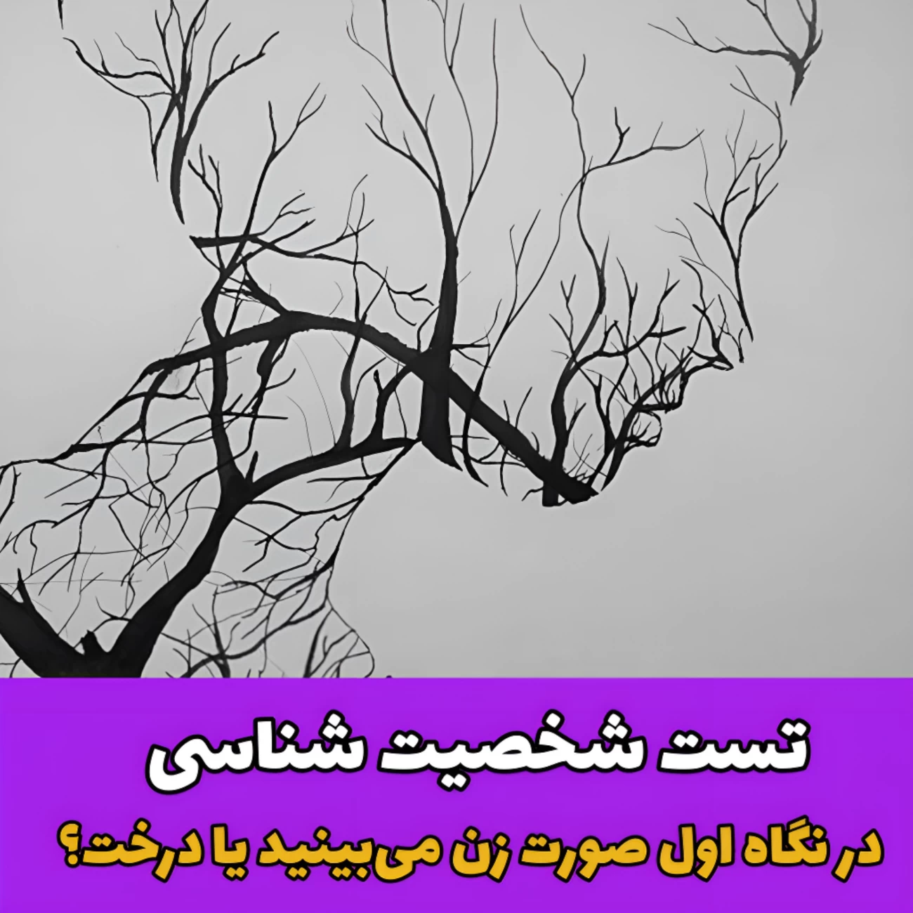 تست شخصیت شناسی