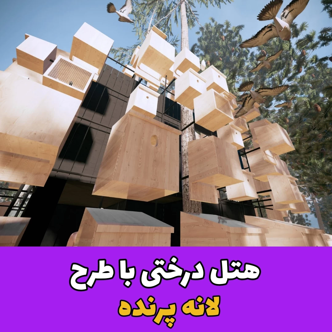 هتل درختی / لانه پرنده!