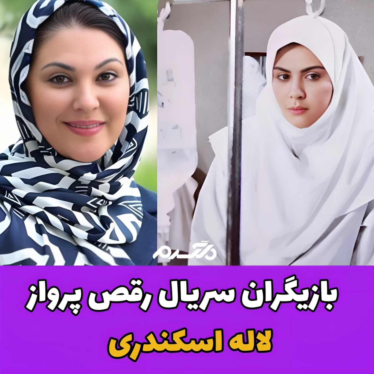 سریال رقص پرواز