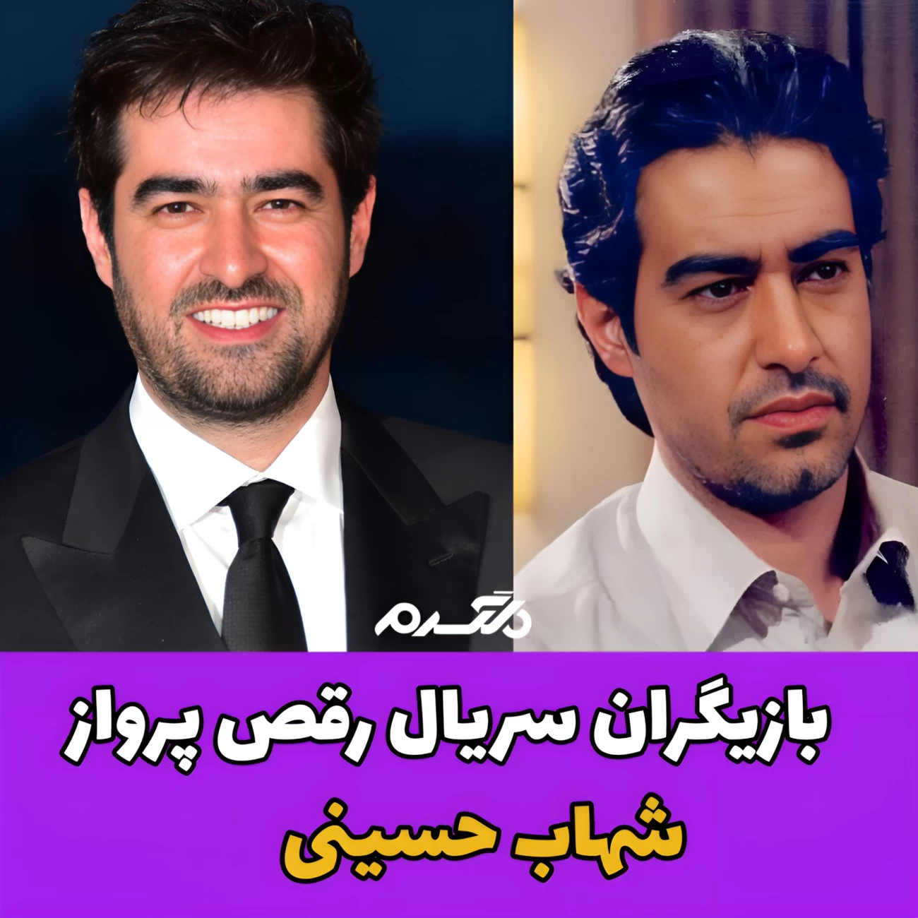 سریال رقص پرواز