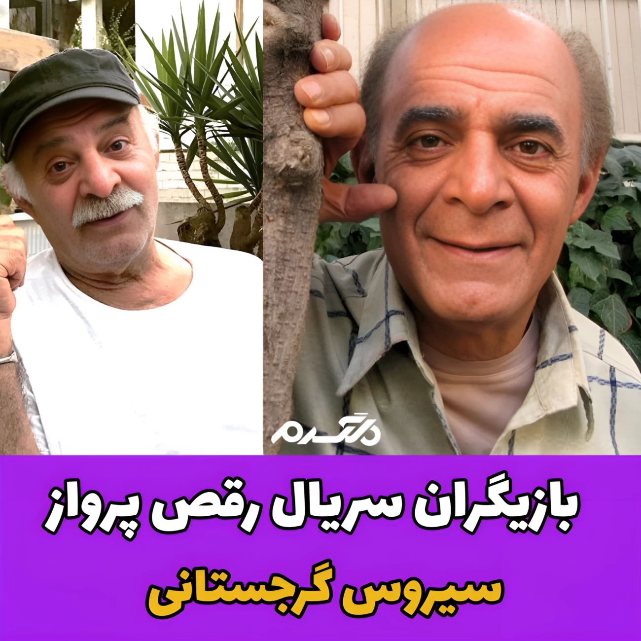سریال رقص پرواز