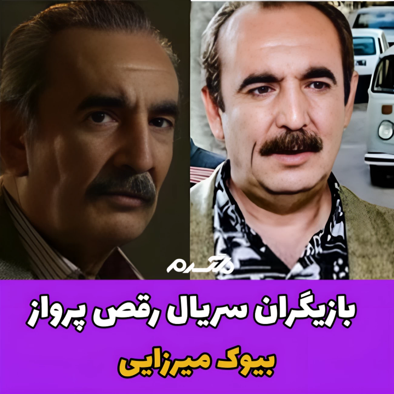 سریال رقص پرواز