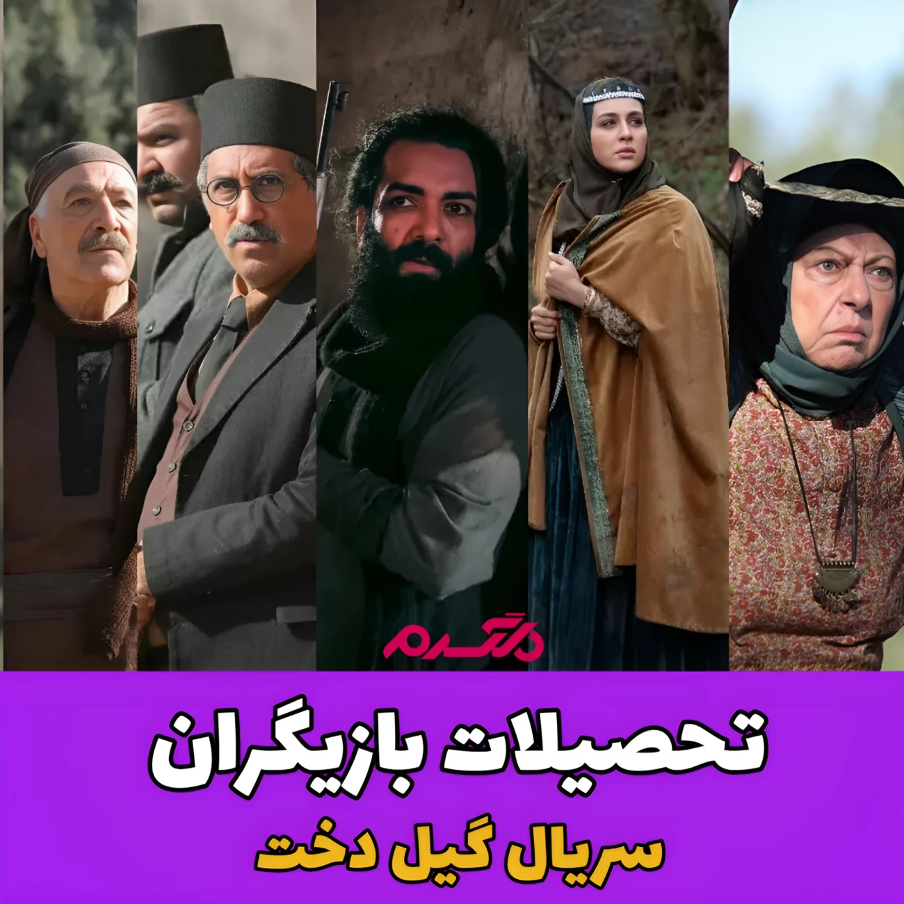 تحصیلات بازیگران/ سریال گیل دخت