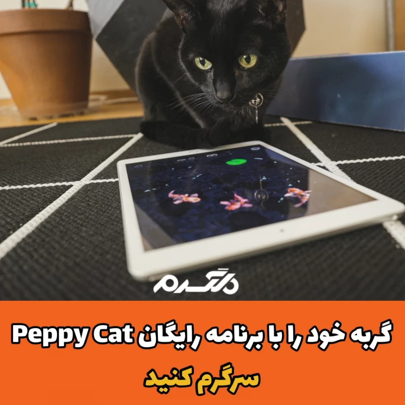 سرگرم کردن گربه / Peppy Cat 