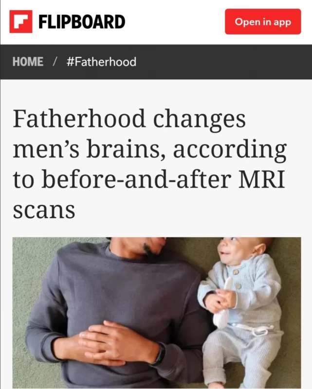 پدر شدن/ مغز مردان