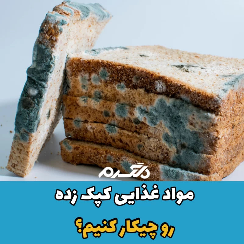 مواد غذایی کپک زده