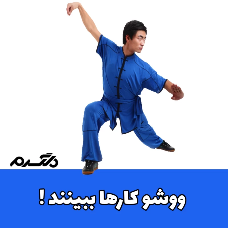 ووشو / حرکات ورزشی