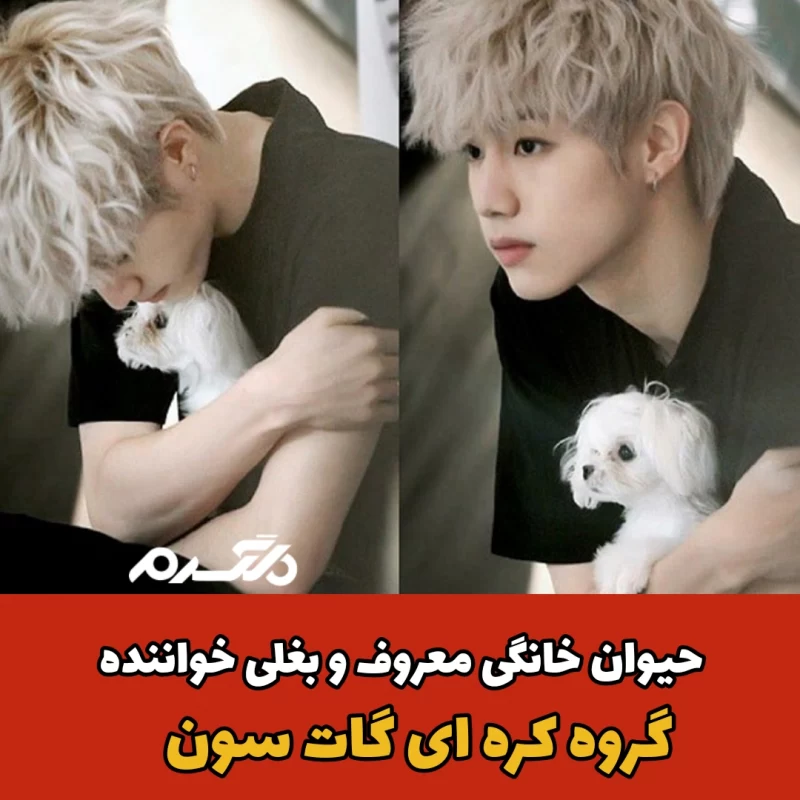 <a href='/last-search/?q=حیوان'>حیوان</a> <a href='/last-search/?q=خانگی'>خانگی</a>/ گروه گاتسون