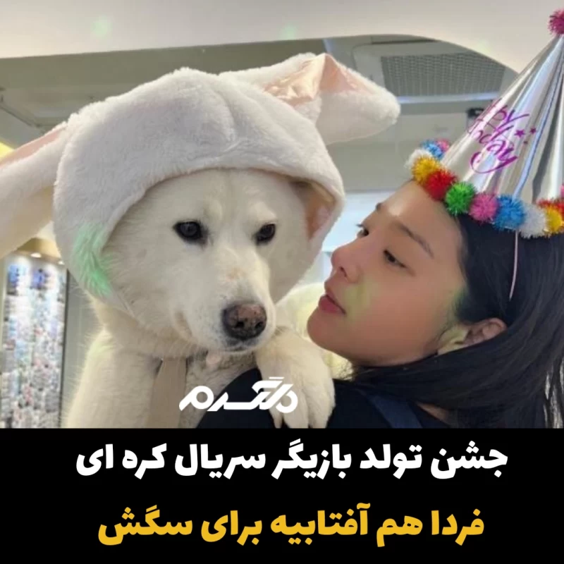 جشن تولد سگ بازیگر سریال کره ای