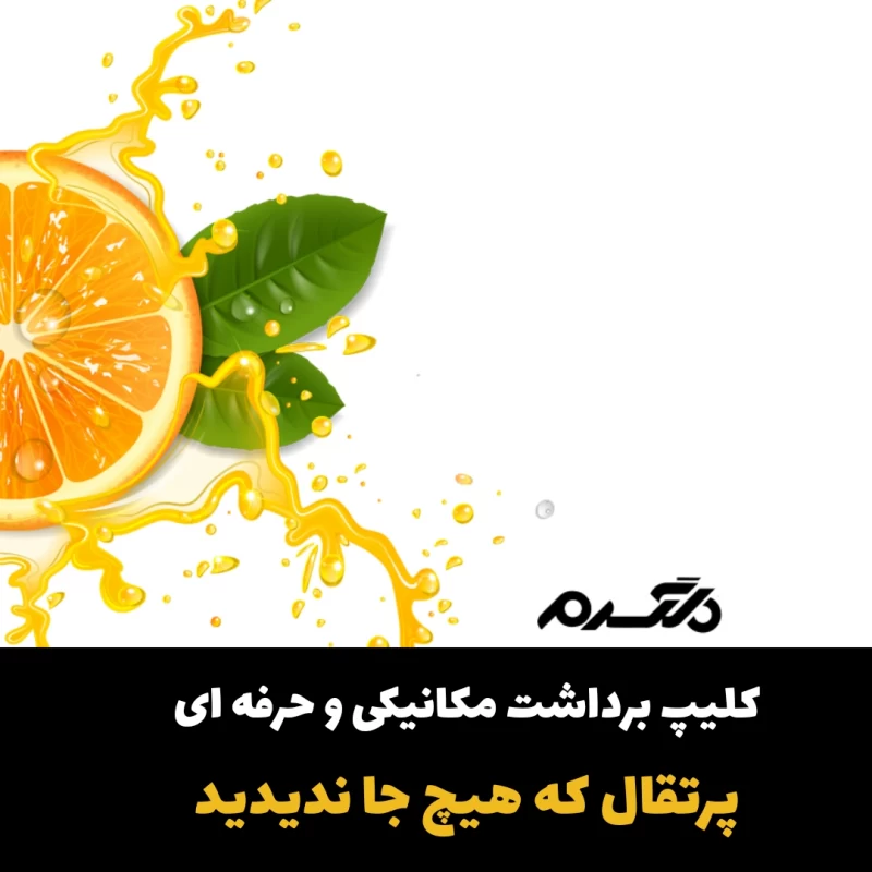 برداشت مکانیکی و حرفه ای پرتقال