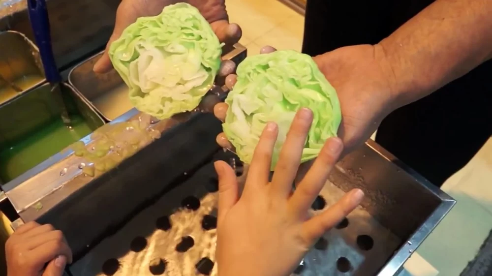 ساخت کاهو خوراکی در ژاپن با موم رنگی