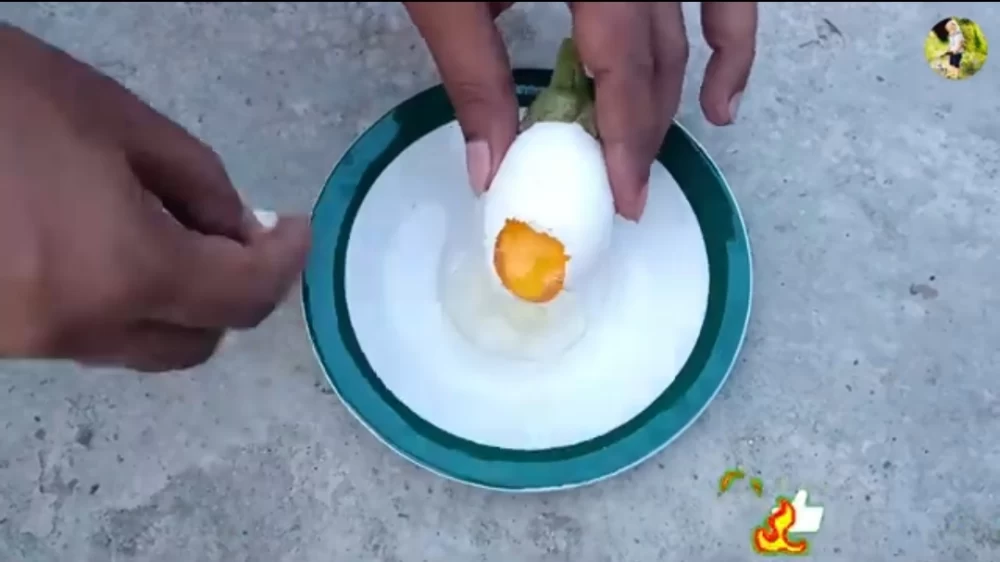 بادمجان تخم مرغی/بادمجان سفید