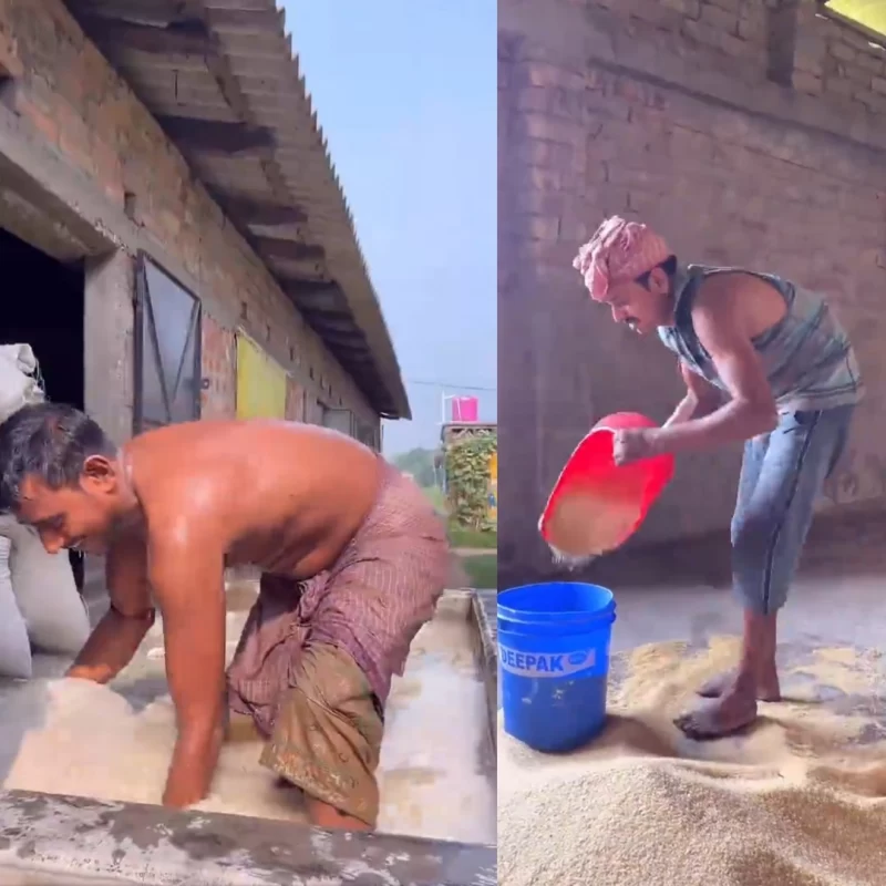 کارخونه بسته بندی برنج در هند
