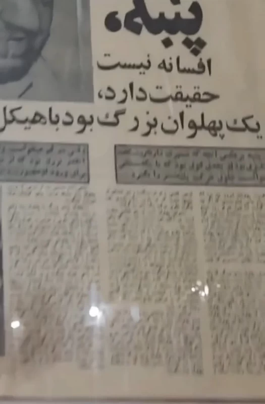 پهلوان پنبه