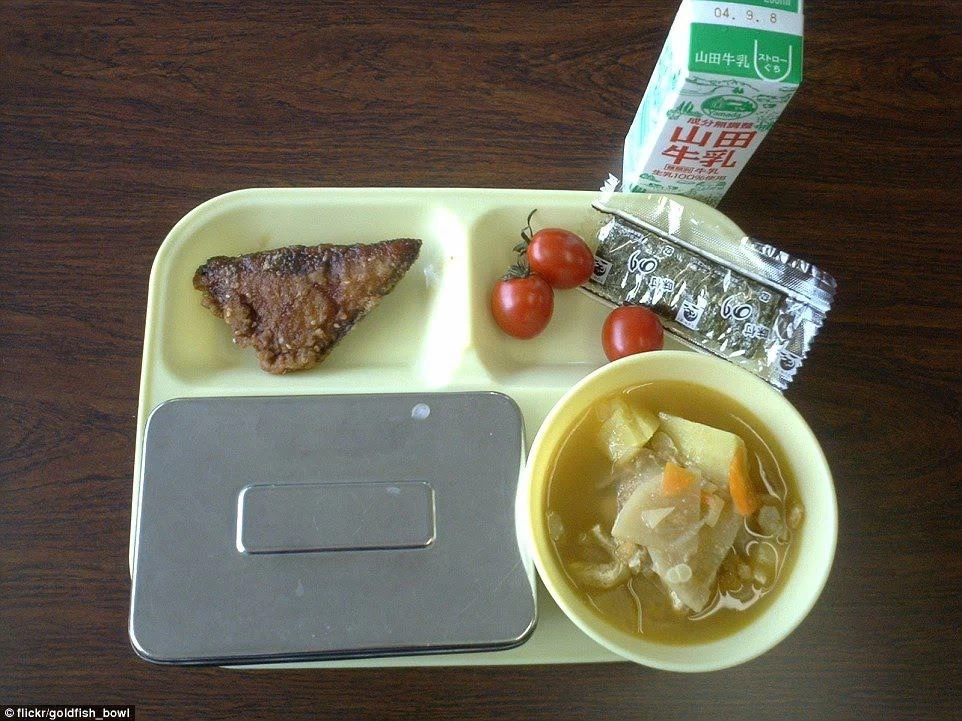 ناهاری که بچه ها در کشورهای مختلف در مدرسه میخورند