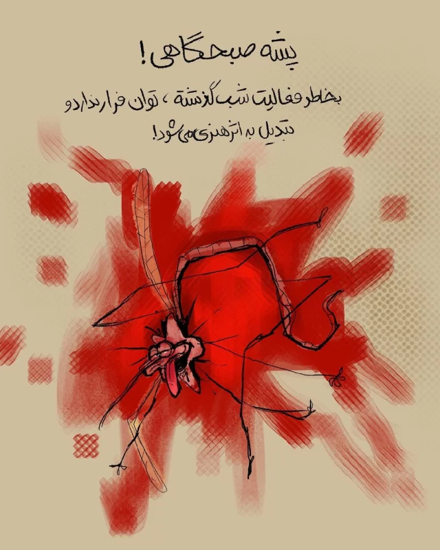 چند مدل پشه