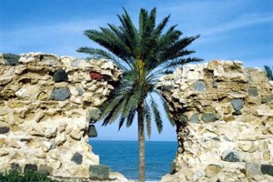 دیدنی ها و مراکز تفریحی در جزیره کیش