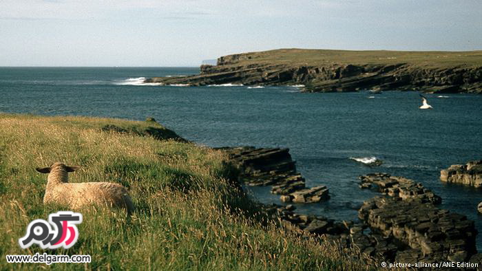 عکسهای خبری روز - دیدنیهای جالب خبری