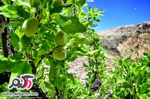 عکسهای خبری روز - دیدنیهای جالب خبری