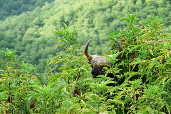 عکس گردنه حیران اردبیل