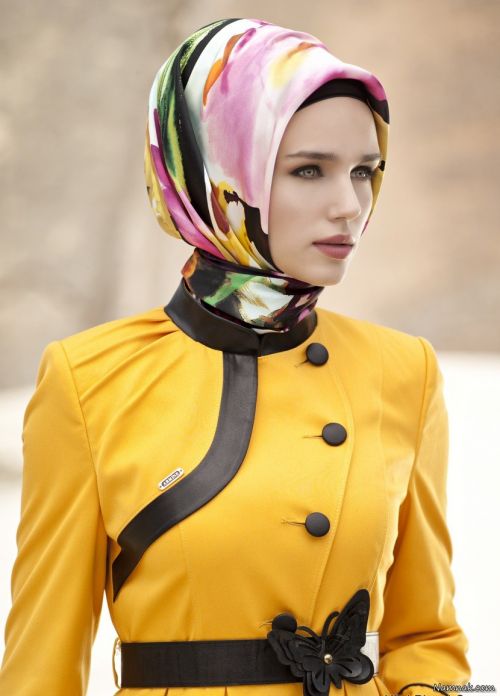 majlesi