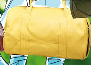 bag