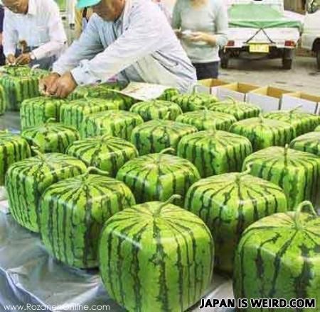 19 واقعیت جالب در مورد ژاپن که نمی دانستید