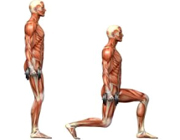 ورزش هایی برای رفع چاقی پاها و بازو