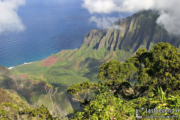 بامجمع ‌الجزایر هاوایی بیشتر آشنا شوید