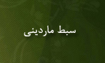  سبط مارديني
