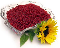 از خواص زرشك چه میدانید؟ از خواص زرشك چه میدانید؟