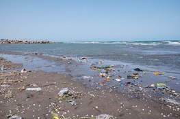 وزارت بهداشت به آلودگی شناگاههای ساحلی رسیدگی کند