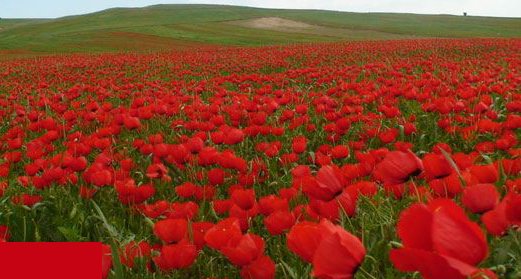 به دیدنی های دیده نشده ایران سفر کنیم
