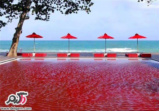 تصاویری از زیباترین استخر های جهان تصاویری از زیباترین استخر های جهان
