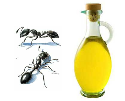 مادر های جوان به این توصیه های سنتی ؛اما خطرناک عمل نکنید