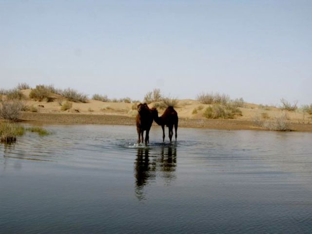 کویر مصر