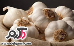این نکات را هنگام استفاده از سیر رعایت کنید این نکات را هنگام استفاده از سیر رعایت کنید