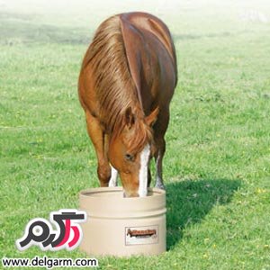  تغذیه اسب