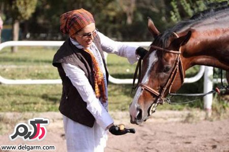  تغذیه اسب